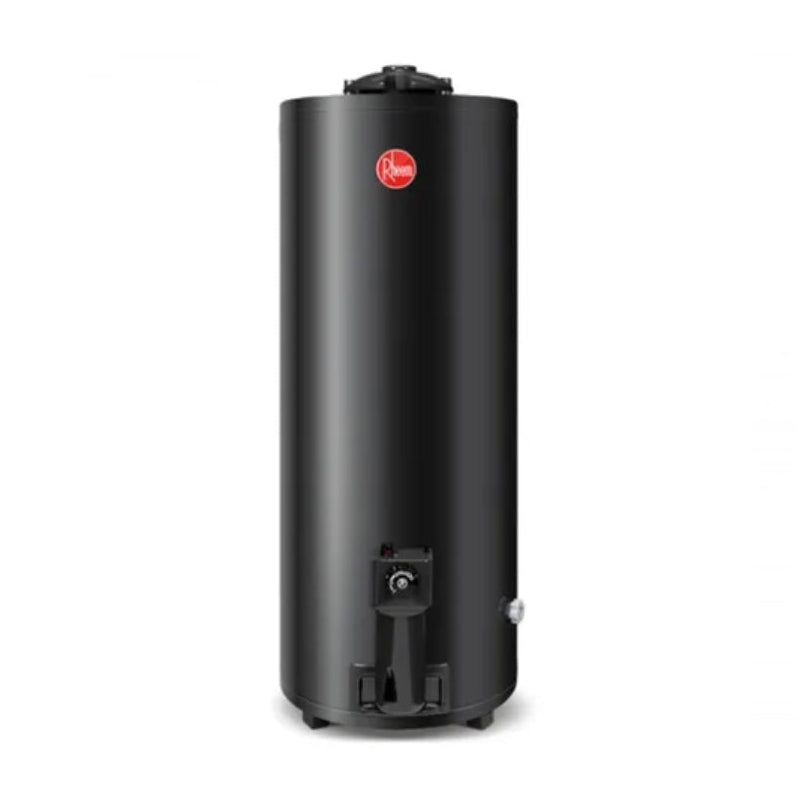 Termotanque A Gas de Pie Rheem 120 Lts (TGNP120RH)