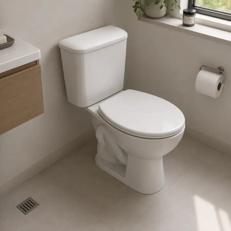 Inodoro Largo Ferrum Andina (IALQ-B) - Sanitarios
