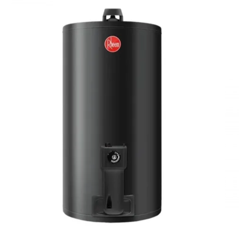 Termotanque A Gas Natural de Colgar Rheem 80 Lts (TGNC080RH)