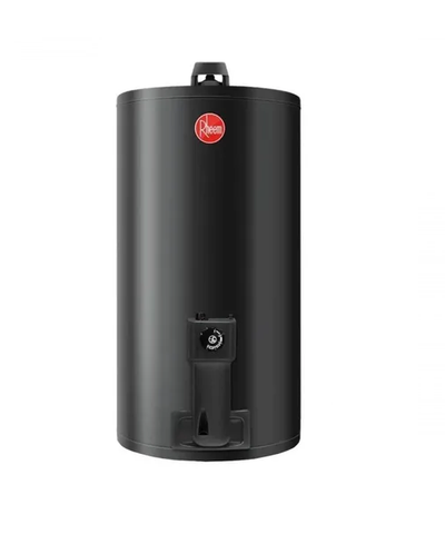 Termotanque A Gas Natural de Colgar Rheem 80 Lts (Tgnc080rh)