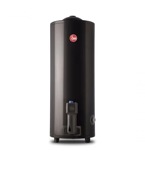 Termotanque Gas de Pie Rheem 80 Lts (Tgnp080rh)