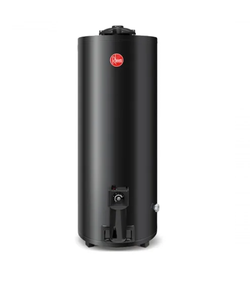 Termotanque A Gas de Pie Rheem 120 Lts (Tgnp120rh)