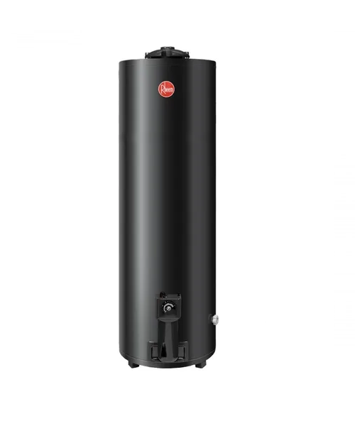 Termotanque A Gas de Pie Rheem 150 Lts (Tgnp150rh)