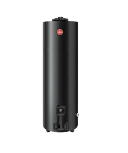 Termotanque A Gas de Pie Rheem 150 Lts (Tgnp150rh)